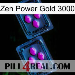 Zen Power Gold 3000 03